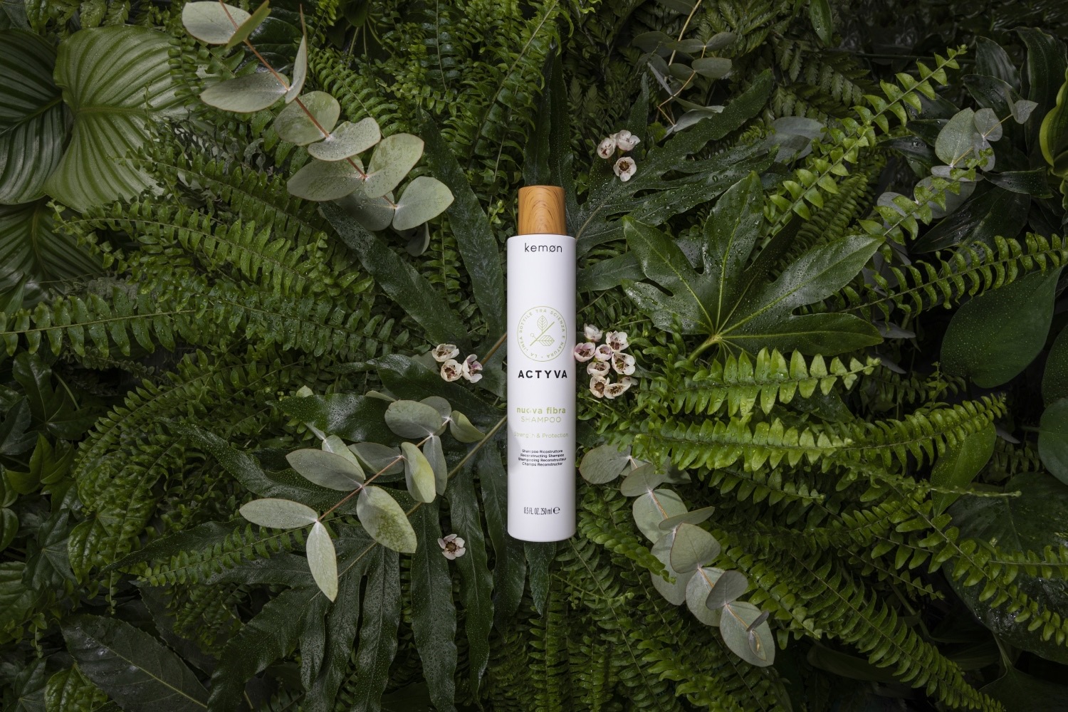 resized_Capture00185